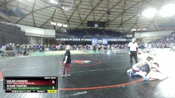 113 lbs 5th Place Match - Ryder Martin, South West Washington Wrestling Club vs Halen Hanson, Scrap Yard Garage Wrestling