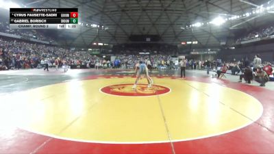 Boys 3A 157 lbs Champ. Round 2 - Gabriel Borisch, Southridge vs Cyrus Fausette-Sadri, Evergreen (Vancouver)