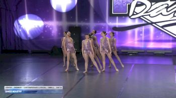 Dance Industry [2026 Junior - Premier - Contemporary/Lyrical - Small Day 2] 2026 Power Dance Grand Nationals