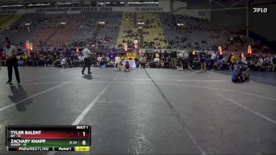 174 lbs Finals (2 Team) - Zachary Knapp, Albion vs Tyler Balent, RIT