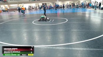 80 lbs Finals (8 Team) - Brooklyn Binsfeld, Paynesville vs Grayson Germo, Maple River/USC