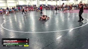 113 lbs Semis & 1st Wrestleback (8 Team) - Sebastian Gonzalez, Eagle Empire Purple vs Anthony Zuranski, Avon Wrestling Club