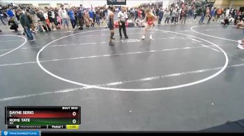 145 lbs Cons. Round 2 - Dayne Serio, IL vs Rome Tate, MO