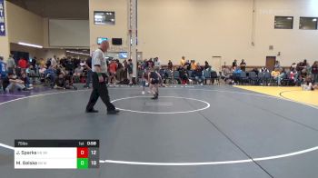 75 lbs Rr Rnd 3 - Jake Sparks, Third Monkey K-8 vs Michael Gelske, Westshore WC K-8