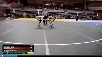95 lbs Semis & 1st Wrestleback (8 Team) - Carson Reis, Holdingford vs Elijah Mercado, St. Peter