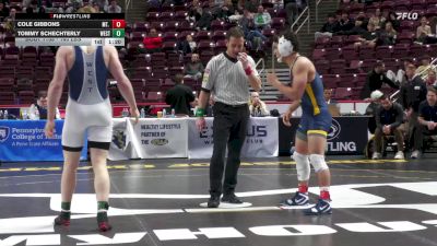 160 lbs Quarterfinal - Cole Gibbons, Mt. Lebanon vs Tommy Schechterly, West Scranton
