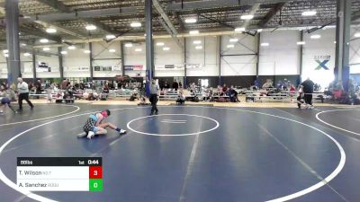 88 lbs Consolation - Taylea Wilson, No Team vs Adyson Sanchez, Rogue Christian Academy