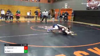 132 lbs Consolation - Danny Capozzoli, Newport vs Nathan Hart, Delone Catholic