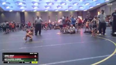 41 lbs Round 3 - Brynleigh Harris, Terminator Wrestling Academy vs Zeke Gray, Millard South