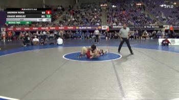 165 lbs Semis (4 Team) - Cooper McCloy, Wabash vs Michael Hutchison, Millikin