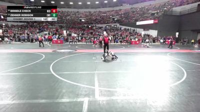 55 lbs Champ. Round 1 - Zehner Robison, Lakeland Wrestling Club vs Brindle Check, North Crawford Seneca