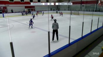 Replay: Home - 2024 Rochester U10 vs Reapers U10 | Nov 29 @ 2 PM