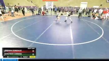 113 lbs Quarterfinal - Jeremiah Gonzalez, ID vs Demetrios Carrera, IL