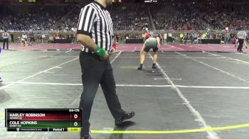 D4-175 lbs Quarterfinal - Cole Hopkins, Evart HS vs Harley Robinson, Homer HS