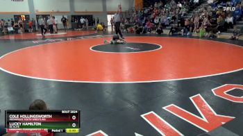 N-13 lbs Semifinal - Cole Hollingsworth, Mediapolis Youth Wrestling vs Lucky Hamilton, DC Elite