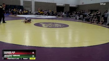 70 lbs Semis (4 Team) - Gunner Aus, Quad County vs Anthony Abramo, Brainerd