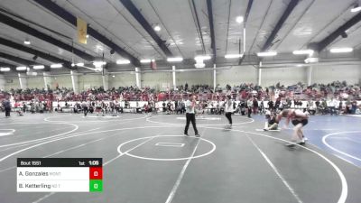 138 lbs Final - Aadin Gonzales, Montrose Elite vs Brody Ketterling, No Team