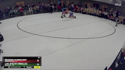 141 lbs Round 7 (8 Team) - Luis Avalos-Ceballos, Iowa PWC vs Braeden Kleinschmit, Nebraska Blue