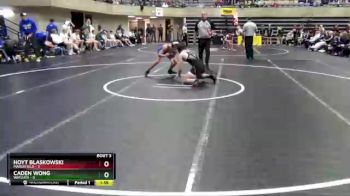 138 lbs Quarterfinals (8 Team) - Caden Wong, Wayzata vs Hoyt Blaskowski, Marshfield