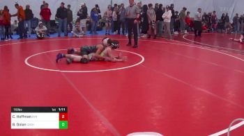 110 lbs Quarterfinal - Carter Hoffman, Dover vs Brayden Dolan, Cochranville