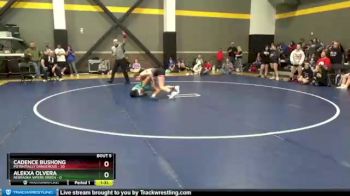 130 lbs Round 3 (4 Team) - Cadence Bushong, Potentially Dangerous vs Alekxa Olvera, Nebraska Vipers Green
