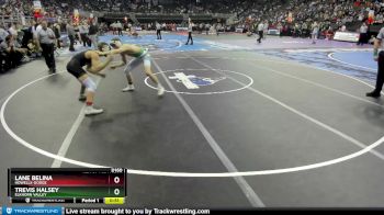 5th Place Match - Trevis Halsey, Elkhorn Valley vs Lane Belina, Howells-Dodge