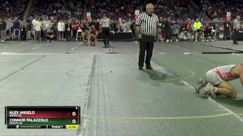 D1-132 lbs Cons. Round 2 - Alex Angelo, Romeo HS vs Connor Palazzolo, Dakota HS