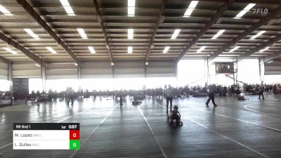 40 lbs Rr Rnd 1 - Milena Lopez, NM Gold vs Leland Gulley, Valley Bad Boys