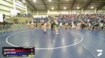 170 lbs Quarterfinal - Hayden Larson, OR vs Dominic Dotson, CA
