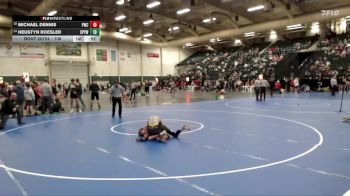 106 lbs Cons. Round 2 - Heustyn Roesler, St. Paul Youth Wrestling vs Michael Dennis, Pioneer Wrestling Club