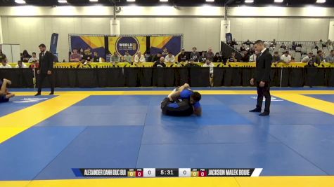 Jackson Malek Bouie vs Alexander Danh Duc Bui 2024 World IBJJF Jiu-Jitsu No-Gi Championship