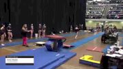 Anna Woods - Women's Group, Triad Gymnastics - 2021 Women's Xcel Region 4 Championships