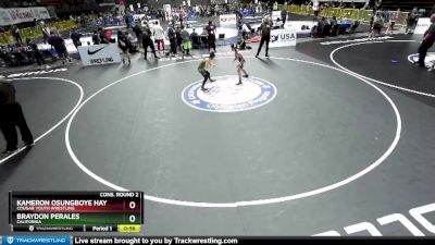 92 lbs Cons. Round 2 - Kameron Osungboye Haynes, Cougar Youth Wrestling vs Braydon Perales, California