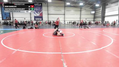 132 lbs Consi Of 64 #2 - Zion Garelick, NY vs Krzysztofer Kowalsky, GA