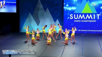 The Vision Dance Center - TVDC Junior Small Lyrical [2026 Junior - Premier - Contemporary/Lyrical - Small Semis] 2026 The Dance Summit