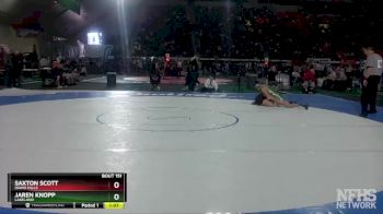 4A 120 lbs Quarterfinal - Jaren Knopp, Lakeland vs Saxton Scott, Idaho Falls