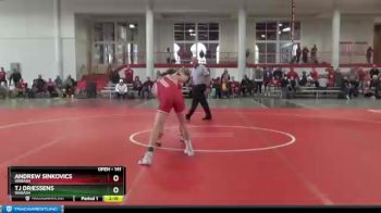 141 lbs Cons. Round 3 - Andrew Sinkovics, Wabash vs Tj Driessens, Wabash