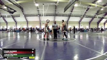 157 lbs Cons. Round 4 - Logan Palmeri, Suny Brockport vs Tyler Ramirez, Ferrum College