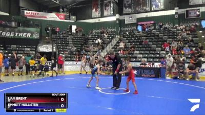 67 lbs Quarterfinal - Liam Brent, MI vs Emmett Hollister, CT