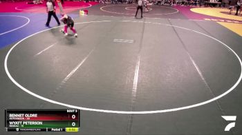 93 lbs Quarterfinals (8 Team) - Bennet Oldre, Hutchinson vs Wyatt Peterson, Roseau