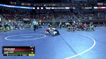 1A-144 lbs Champ. Round 2 - Collin Holm, South Winneshiek vs Mark Gant, Hinton