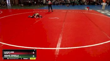 55 lbs Placement (4 Team) - Roman Kinsella, Dassel-Cokato-Litchfield vs Lucas Linn, Rocori