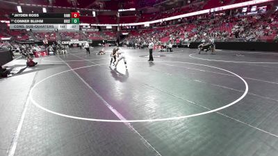 144 lbs Cons. Sub-quarters - Conner Bluhm, Brookfield Central vs Jayden Ross, Hamilton