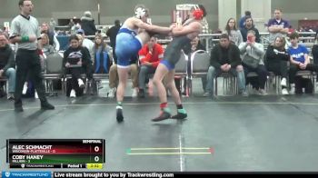 133 lbs Semis (4 Team) - Coby Haney, Millikin vs Alec Schmacht, Wisconsin-Platteville