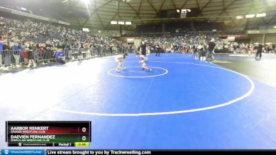 74 lbs Cons. Round 3 - Daevien Fernandez, Steelclaw Wrestling Club vs Aarbor Renkert, Cruiser Wrestling Club