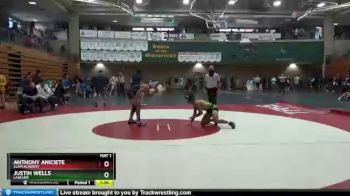 138 lbs Quarterfinal - Justin Wells, Lakeside vs Anthony Aniciete, Slam Academy