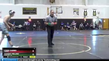 113 lbs Championship Bracket - CODIE CUERBO, Aurora vs Dominic Mellino, NORDONIA, OH