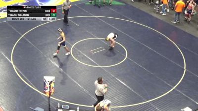 124 lbs Round Of 32 - David Pitkis, Council Rock South vs Nash Salmon, Grove City