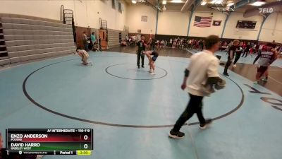 116-119 lbs Round 3 - David Harro, Greeley West vs Enzo Anderson, Poudre