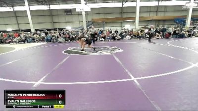 95 lbs Cons. Round 2 - Evalyn Gallegos, Idaho Gold Wrestling vs Madalyn Pendergrass, All In